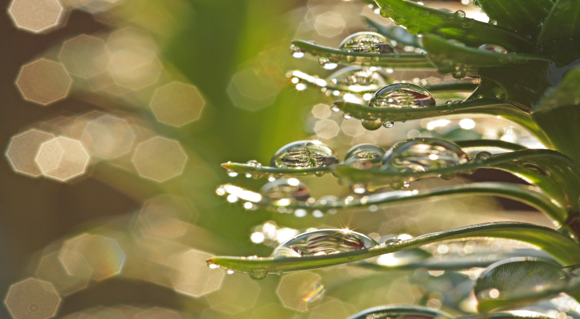 Glas mit Nanoversiegelung GEWE-clean®